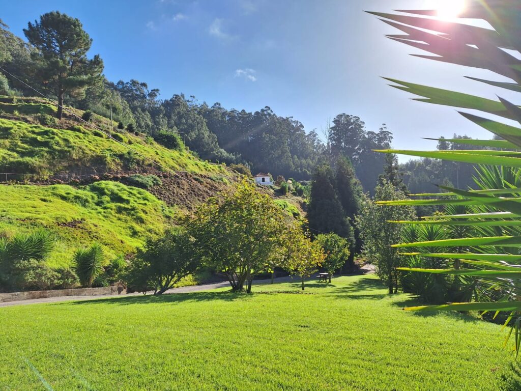 Heart of Madeira 3