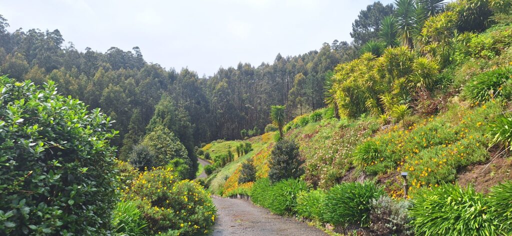 Heart of Madeira 2